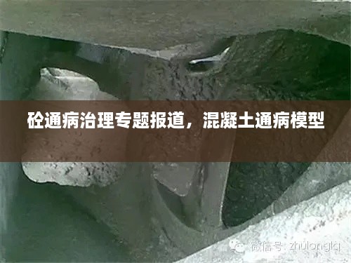 砼通病治理專題報(bào)道，混凝土通病模型 