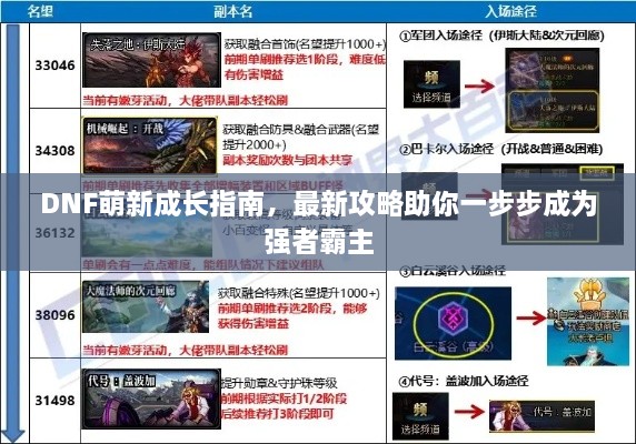 DNF萌新成長(zhǎng)指南，最新攻略助你一步步成為強(qiáng)者霸主