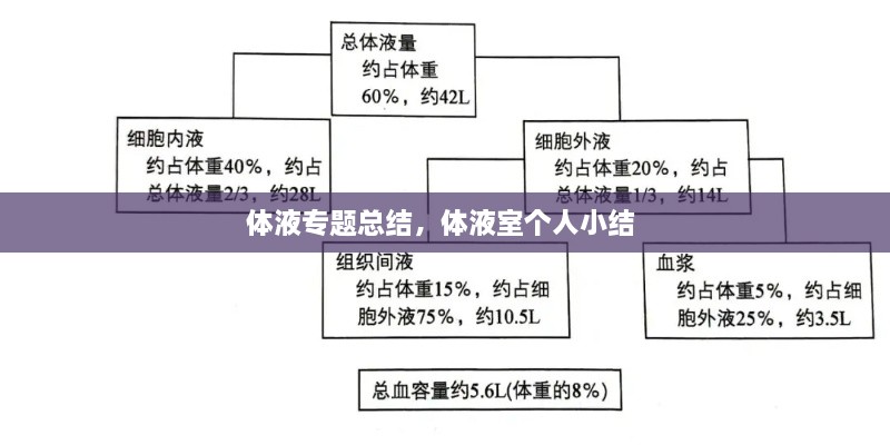 體液專題總結(jié)，體液室個(gè)人小結(jié) 