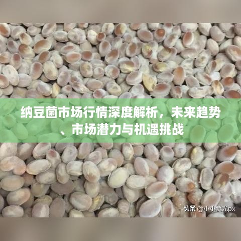 新聞動(dòng)態(tài) 第14頁(yè)