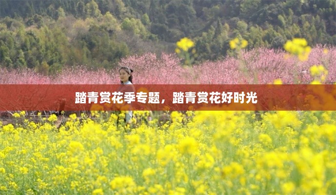 解決方案 第14頁