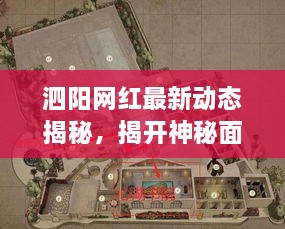 泗陽網(wǎng)紅最新動態(tài)揭秘，揭開神秘面紗，熱門資訊曝光！