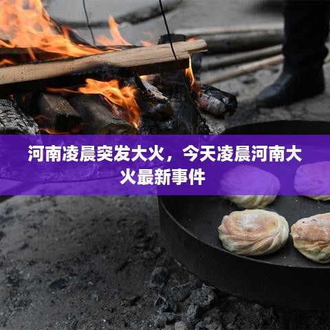 河南凌晨突發(fā)大火，今天凌晨河南大火最新事件 