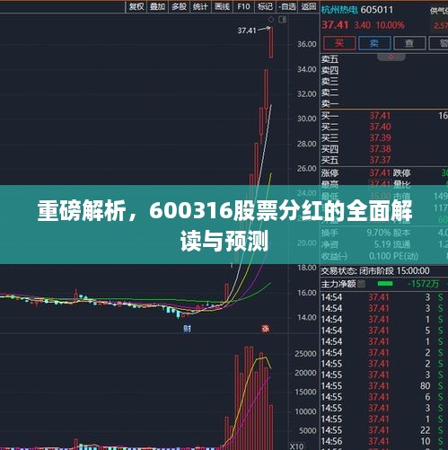重磅解析，600316股票分紅的全面解讀與預(yù)測