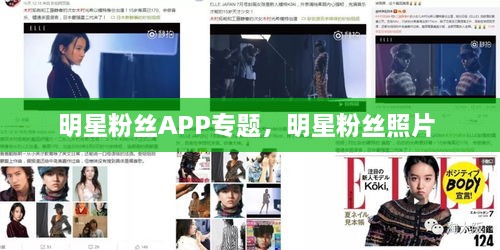 明星粉絲APP專題，明星粉絲照片 