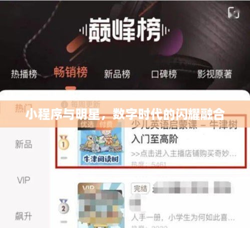 小程序與明星，數(shù)字時代的閃耀融合