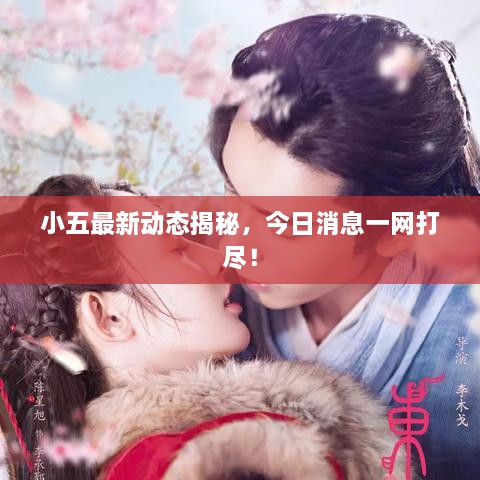 小五最新動態(tài)揭秘，今日消息一網(wǎng)打盡！