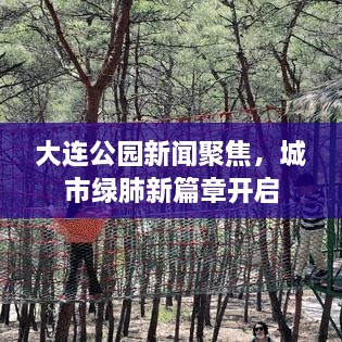 大連公園新聞聚焦，城市綠肺新篇章開啟