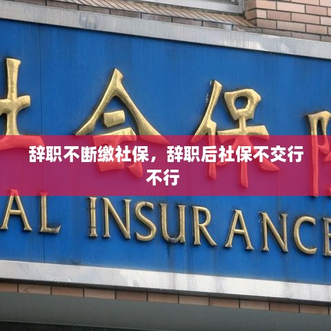 辭職不斷繳社保，辭職后社保不交行不行 