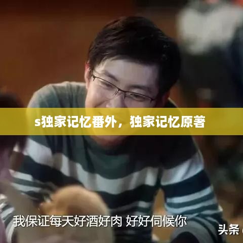 s獨(dú)家記憶番外，獨(dú)家記憶原著 