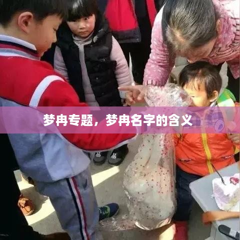 夢冉專題，夢冉名字的含義 