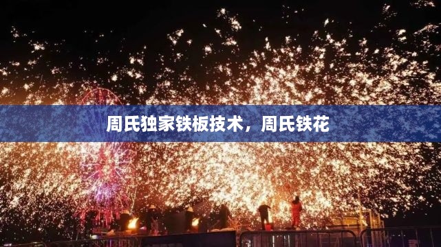 產(chǎn)品展示 第8頁