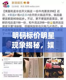 明碼標(biāo)價明星現(xiàn)象揭秘，娛樂圈的新挑戰(zhàn)與觀察