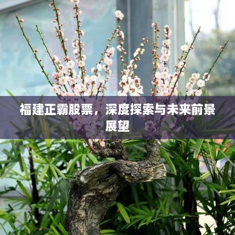 福建正霸股票，深度探索與未來前景展望