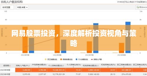 網(wǎng)易股票投資，深度解析投資視角與策略