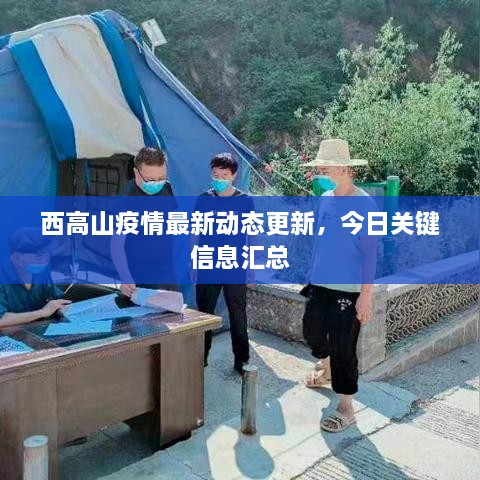 西高山疫情最新動態(tài)更新，今日關鍵信息匯總