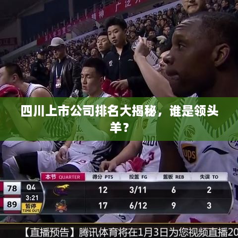 四川上市公司排名大揭秘，誰是領頭羊？