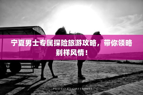 寧夏男士專屬探險旅游攻略，帶你領略別樣風情！