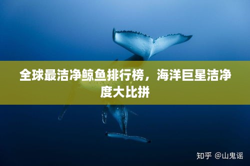 全球最潔凈鯨魚排行榜，海洋巨星潔凈度大比拼