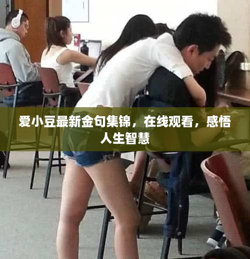 愛小豆最新金句集錦，在線觀看，感悟人生智慧
