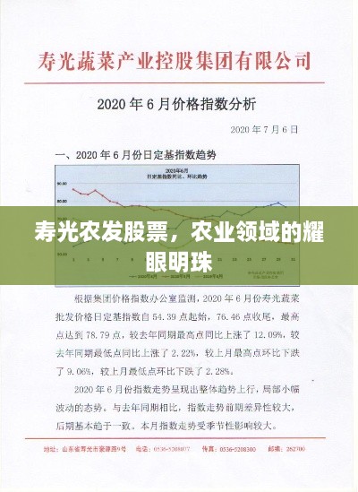 壽光農(nóng)發(fā)股票，農(nóng)業(yè)領(lǐng)域的耀眼明珠