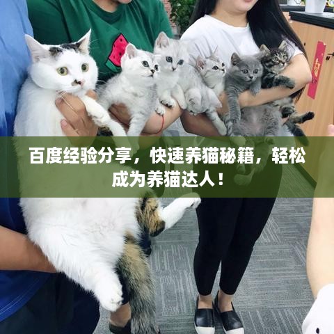 百度經(jīng)驗分享，快速養(yǎng)貓秘籍，輕松成為養(yǎng)貓達(dá)人！