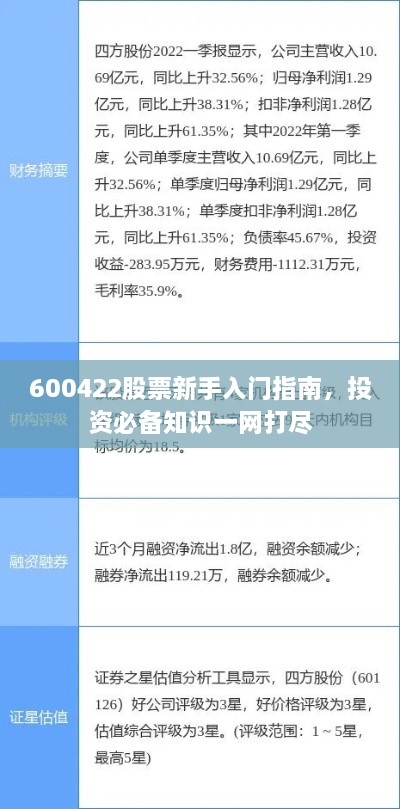 600422股票新手入門指南，投資必備知識一網(wǎng)打盡
