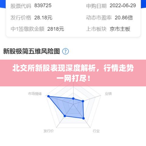 北交所新股表現(xiàn)深度解析，行情走勢(shì)一網(wǎng)打盡！