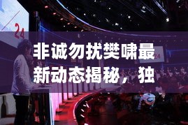 非誠勿擾樊嘯最新動態(tài)揭秘，獨(dú)家爆料吸引眼球！