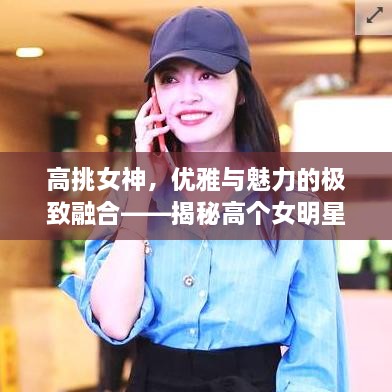 高挑女神，優(yōu)雅與魅力的極致融合——揭秘高個女明星的魅力風(fēng)采