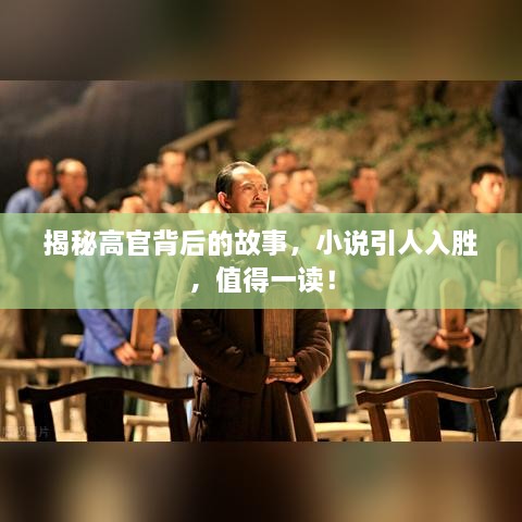 揭秘高官背后的故事，小說引人入勝，值得一讀！